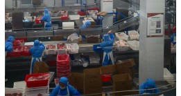 What HACCP practices are food factory implementing?